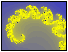 Atoll